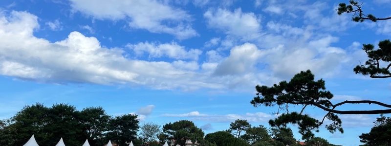 Largo Winch Art Strips Exposition Basque Classic Cars 2022 01